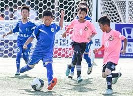 牛牛什么时候该停手（牛牛该在何时收手）